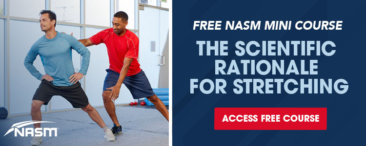 Stabilization Endurance NASM s Optimum Performance Training