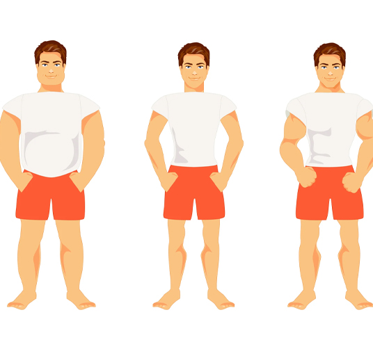 A image of different body types