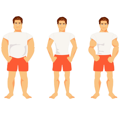 A image of different body types