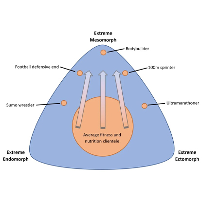 Ectomorph Graph