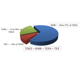 TDEE Graph